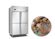 four Door -18 Centigrade 490W Catering Refrigeration Equipment